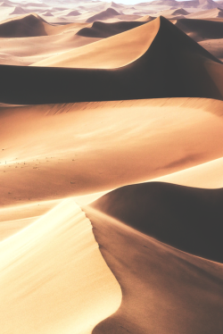 stayfr-sh:  Endless Dunes 