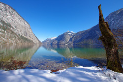 tropicalism:  Königssee (Germany) by armxesde