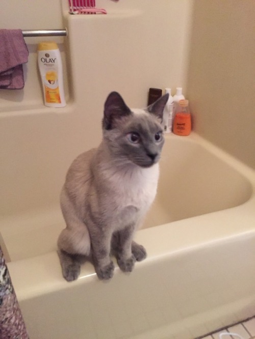 likesomethingblooming:Pls look at this baby boy whose feet are too long to balance on the tub @mostl