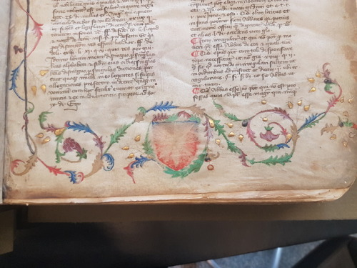 Ms. Codex 1222 - Compendium iuris canoniciAre there any law students? This is an alphabetical collec