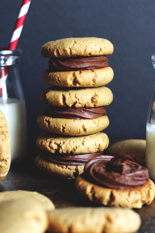 sweetoothgirl:CHOCOLATE PEANUT BUTTER SANDWICH COOKIES