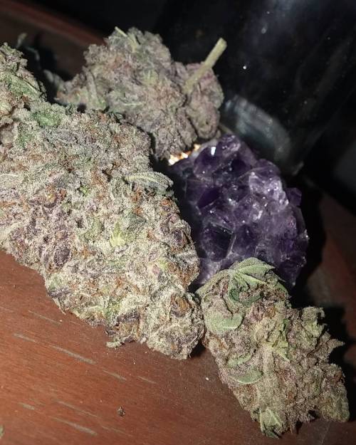 weedporndaily:  I love Amethysts. Especially when they match the color of my bud. by @vancityreviews