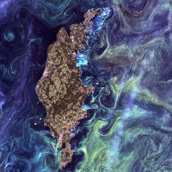 mexicanist:  “Van Gogh from space.”