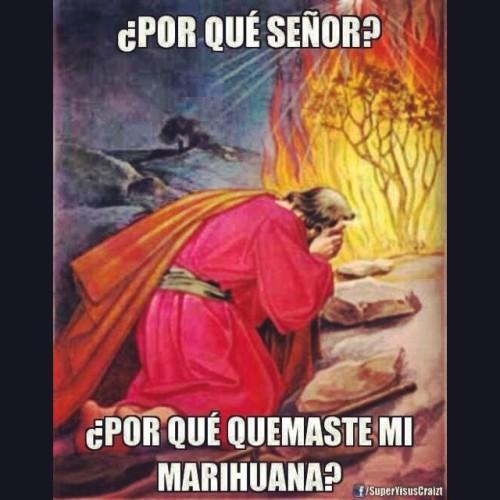 lapalomafolladora:  Si el humo de la marihuana sube al cielo… Y Dios está en el cielo…. 