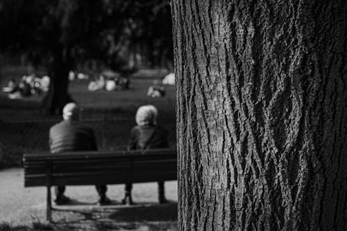 Parc Monceau, ParisBy Rurik Dmitrienko