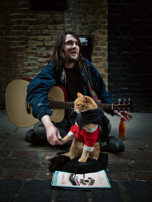 nubbsgalore:  after an apparent attack by a fox, a street cat named bob was found injured and curled up in the hallway outside of a support housing flat in tottenham were james bowen, a recovering heroin addict and homeless busker, was staying.  james