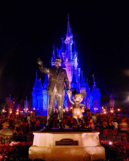 I’m wishing… #wdw#waltdisneyworld#disneyworld#disney#magickingdom#cinderellacastle#mick