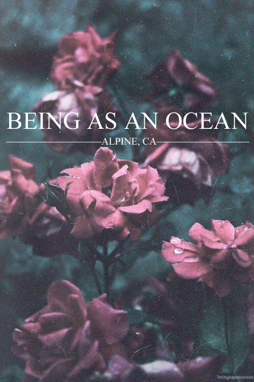 beingassanocean:  BEING AS AN OCEAN // ALPINE, CA just my edit 