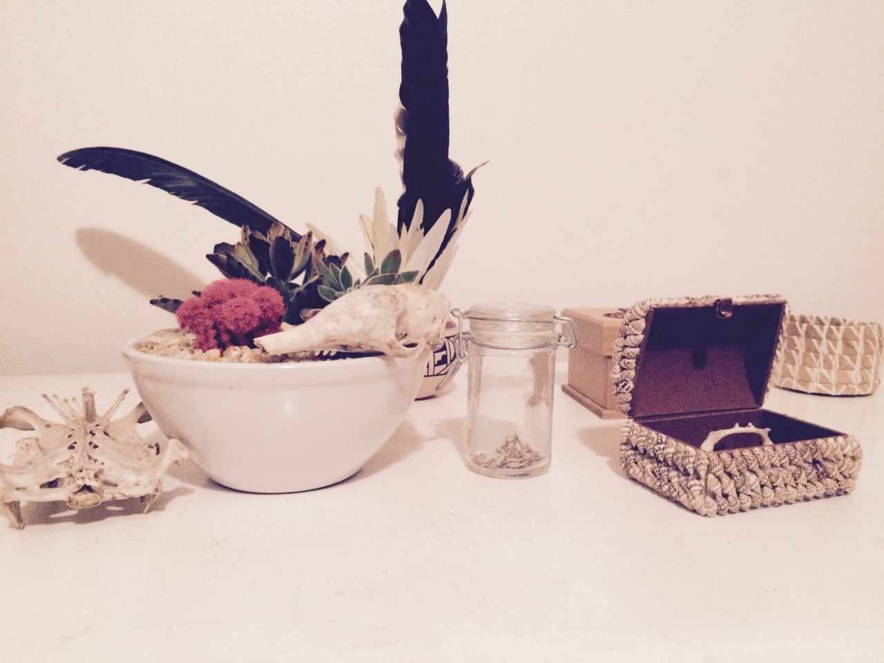 My dresser.  Call me the bone collector.  I don&rsquo;t kill them, I just find