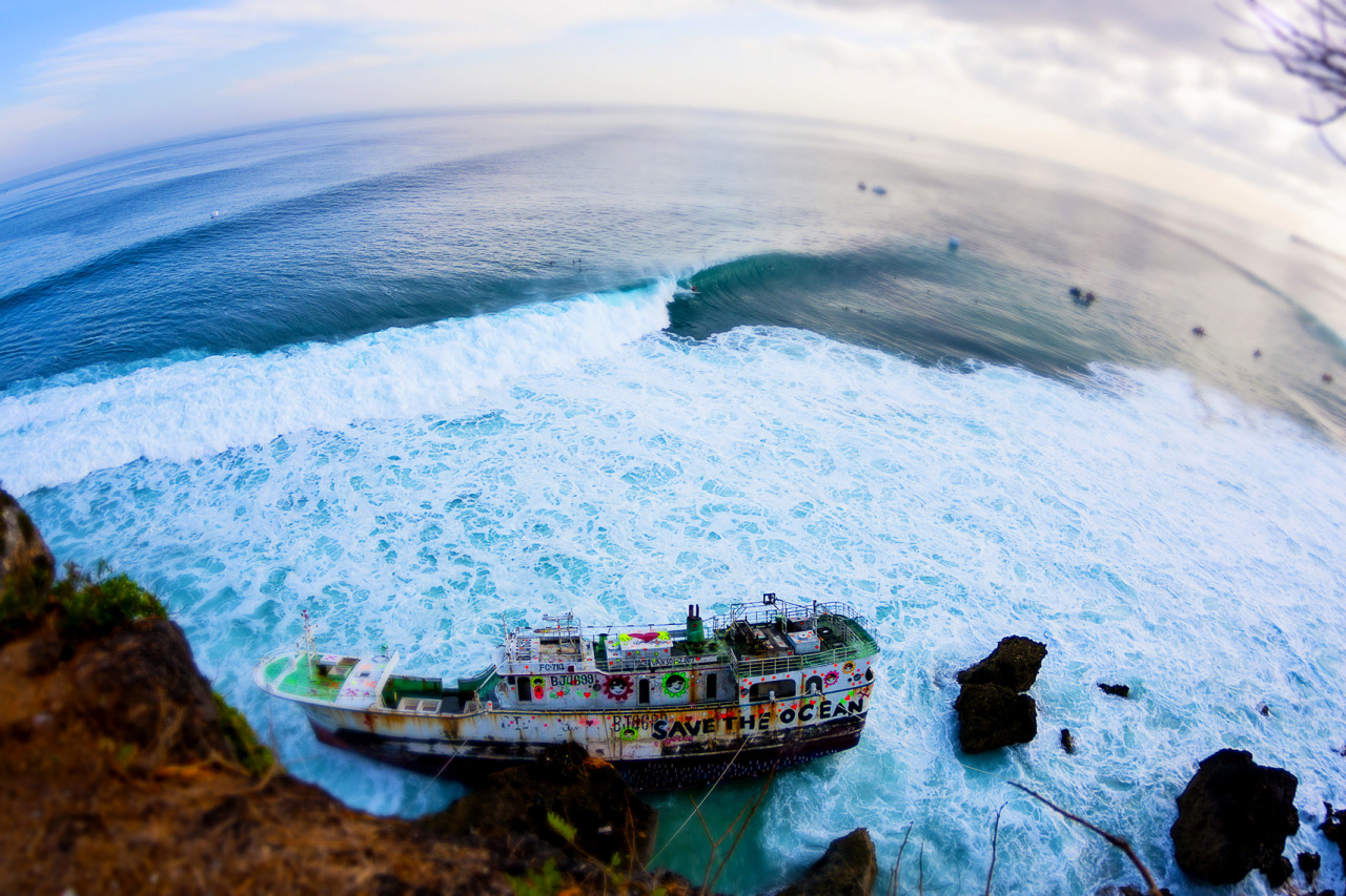 surf-fear:  photo by Brian Bielmann 
