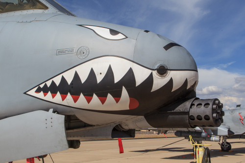 rocketumbl: A-10C Standing by to provide BRRRRRRRTT! support if needed.