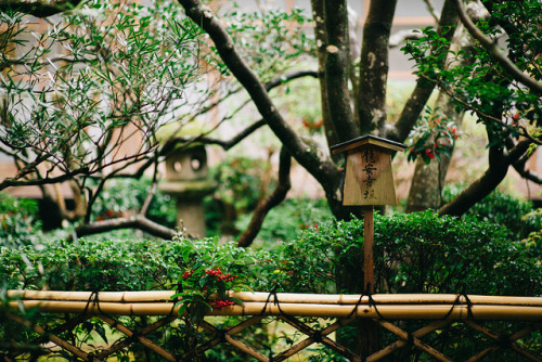 Rainy day Serenity by sunnywinds* on Flickr.