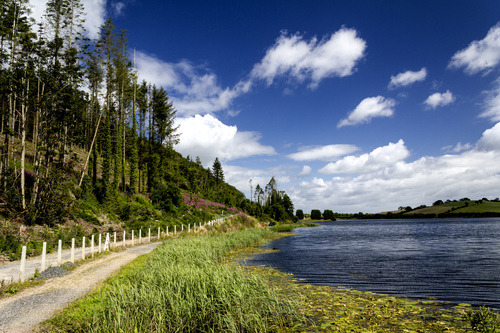 Photo of the Day: ‘Lough Money’ by Martin Curran.
Lough Money, just outside Downpatrick, on a sunny summers morning.
This photo is available to buy from only €25 at http://www.lokofoto.com/photos/3719