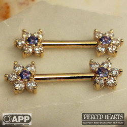 piercedheartstattooparlor:  12g 9/16” yellow gold forward facing barbells with tanzanite and cz petals by BVLA.  *drool*