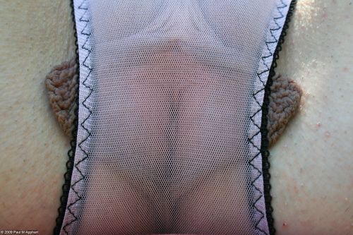 Porn Pics biggestlabia:  Honey