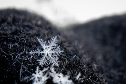 dharmagun: plastic-lions:  copperbadge:  hideki16seiyuu:  peopleareaproblem:   whatdidulearntoday:  There are only 35 different types of Snowflakes! Unlike popular belief that there exists an infinite number of shapes that snowflakes can occur in, there