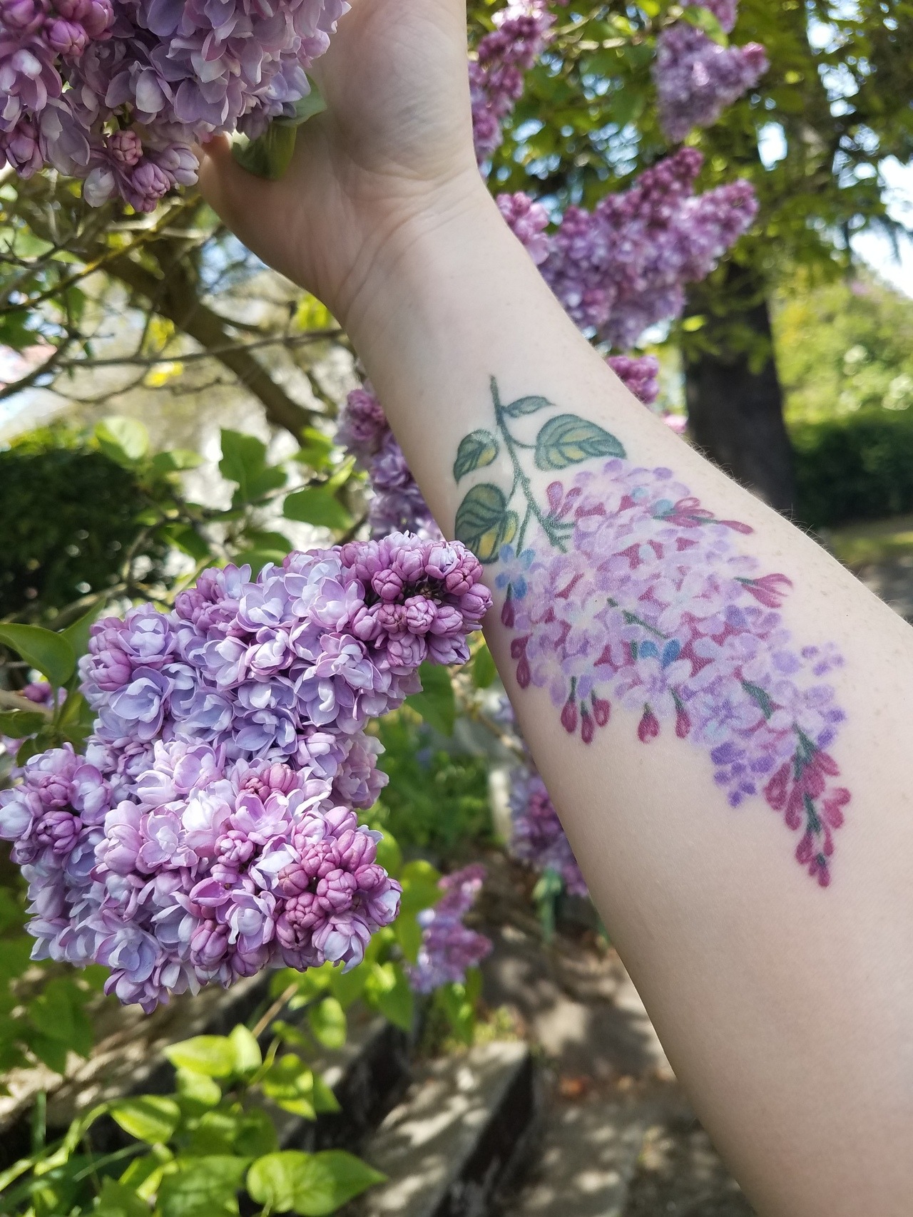 Lilac Tattoo Meanings  A Complete Guide