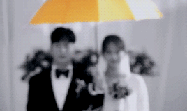 rabonghee:    “somewhere out there, there is a yellow umbrella for everyone.”  