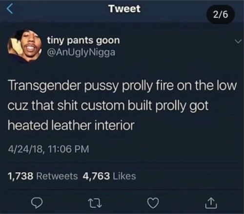 transgender memes