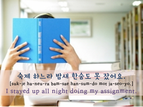 [Learn Korean] 숙제 하느라 밤새 한숨도 못 잤어요. = I stayed up all night doing my assignment.