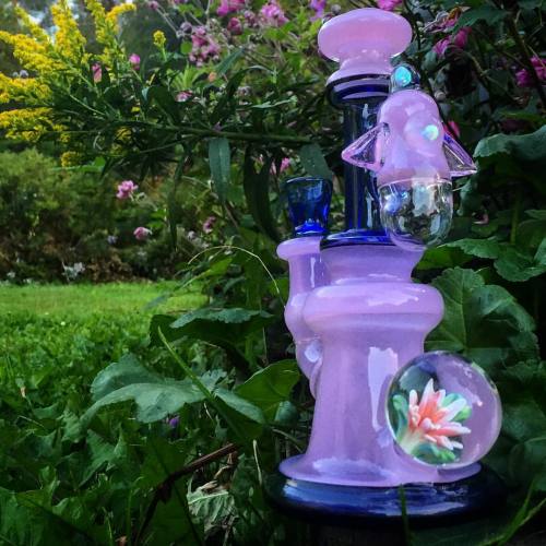 roll0ne:   glasshopper1468 x  micgcheck