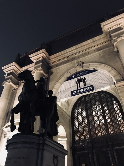 photo by memuseum of natural history at night