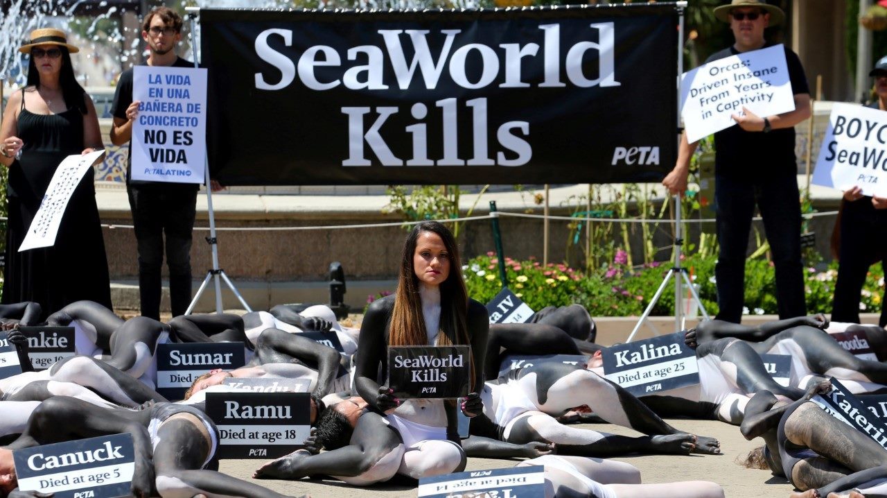 ORCAS. Activistas de PETA (Personas por el Trato Ético de los Animales) durante una manifestación en la cual 38 activistas se pintaron como orcas para representar lo que dicen son el número de orcas que murieron prematuramente en Sea World, en San...