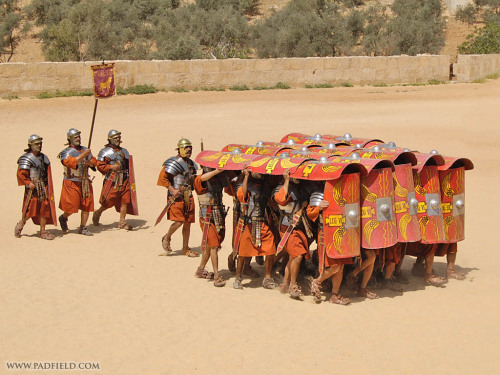 Roman legionaries in testudo (tortoise) formationTrying to stay out of the rain… of arrows.