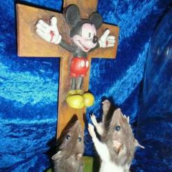 tecastigoelcuerpo:  Niños rata en semana santa