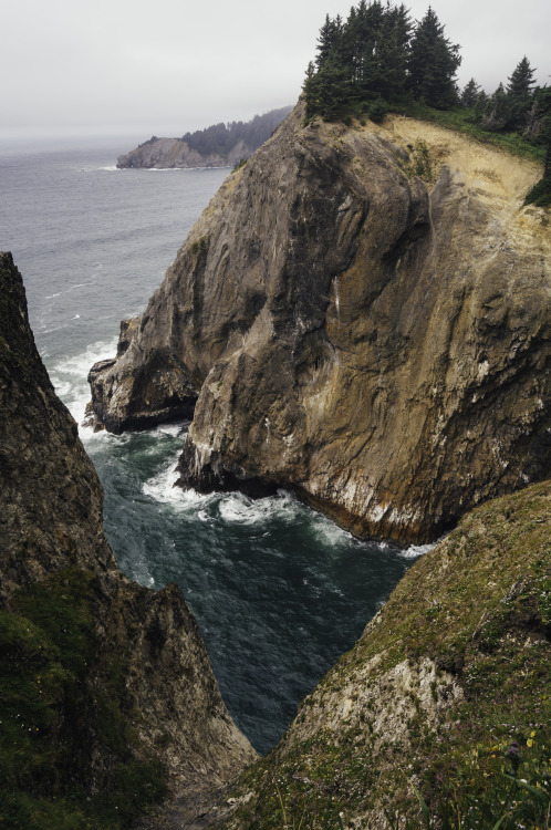 kovthephotographer:Oswald West State Park, OregonSmuggler’s CoveOregon Coast TrailTreasure Cove