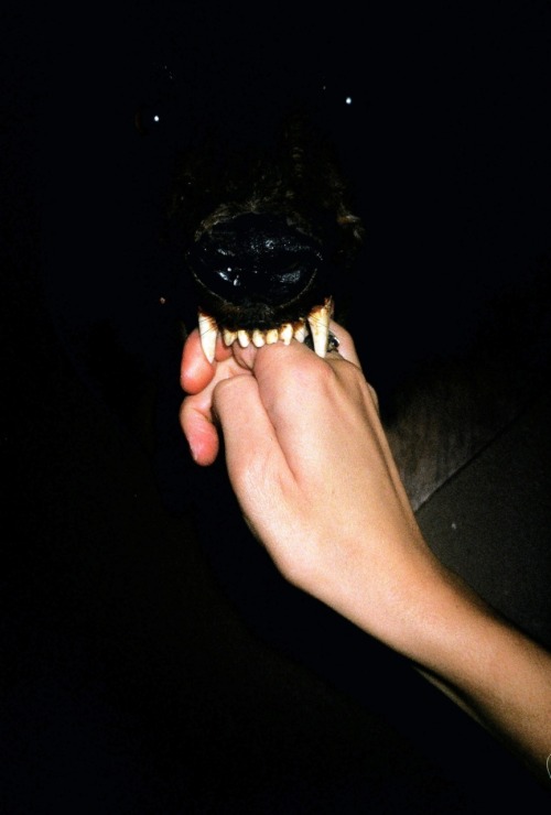 likeafieldmouse:  The Hand that Feeds You 