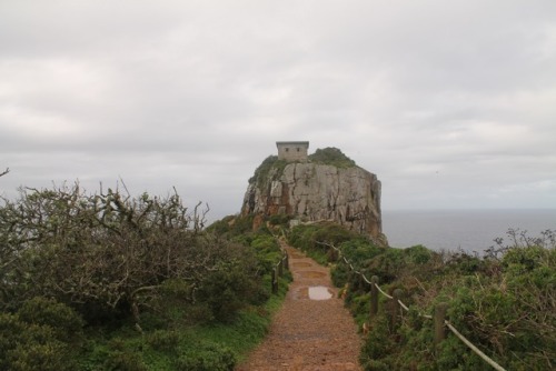 mossy-rox:Cape Point, South Africa. While in South Africa we stumbled upon this incredible view at t