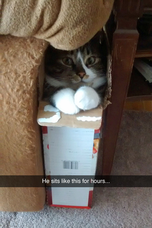 tastefullyoffensive:  [notstainer]
