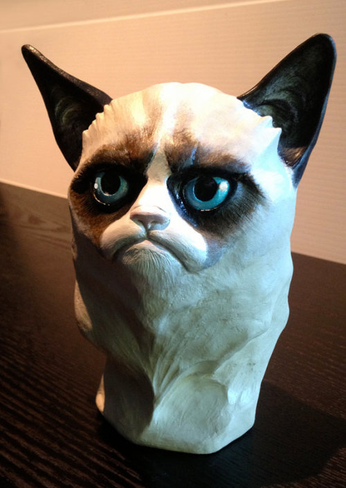 grumpy cat