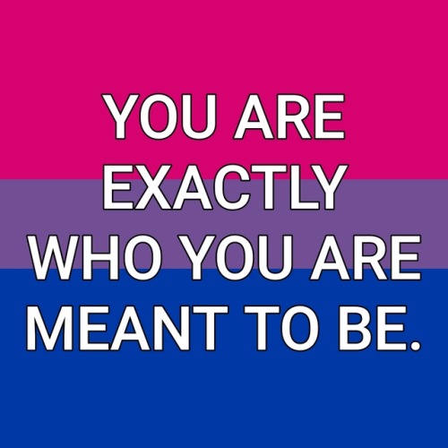 genderqueerpositivity: (Image description: the rainbow, trans, lesbian, nonbinary, bisexual, asexual