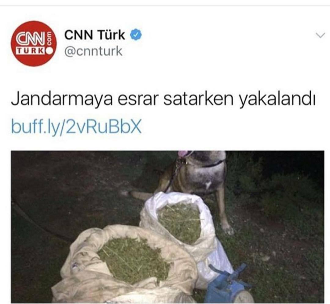 CNN Türk
CNN
TURKO...