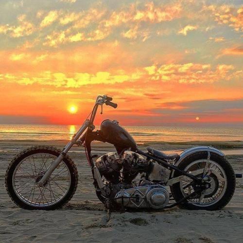 eat-sleep-ride:  ♠️ . . Follow&tag to we: Instagram: @eat.sleep.ride Tumblr: @eat-sleep-ride . #chopper #cruiser #harleydavidson #yamaha #suzuki #caferacer #custom #motorcycle #customcruiser #road #dragstar #virago #intruder #roadstar #amazing