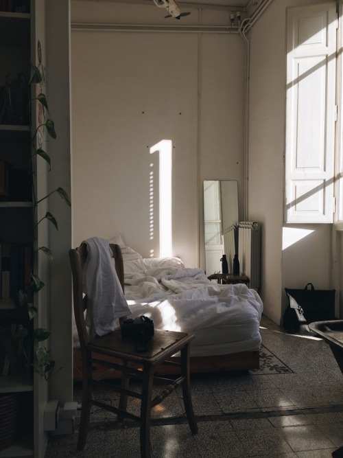 warmhealer: The light in the apartment we are staying in is unreal