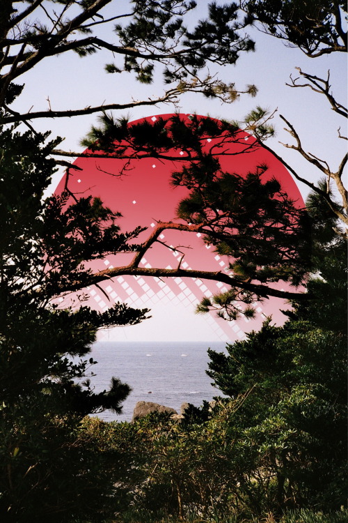 htfphoto:shionomisaki cape 潮岬, wakayama prefecture 和歌山縣, japan.minolta hi-maitc af2, kodak colorplus