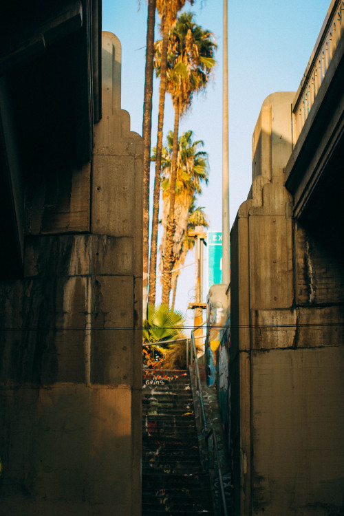 Pathway to the Gutter, Los Angeles – November 6th, 2021
