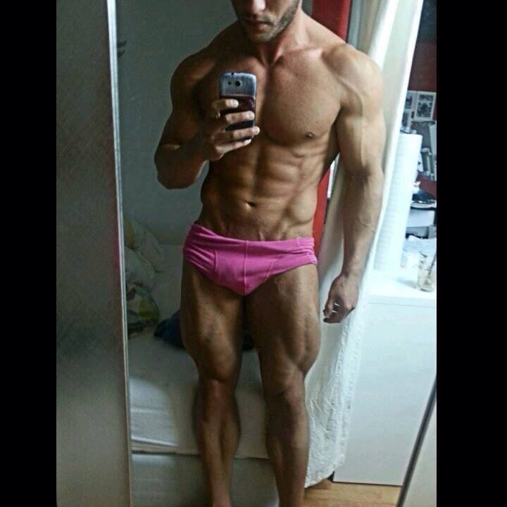 bulgebrasil:   Gatos bulgebrasil 