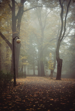bluepueblo:  Autumn Park, Poznan, Poland