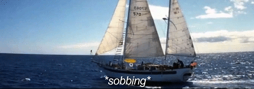 50 First Dates Gif Explore Tumblr Posts And Blogs Tumgir