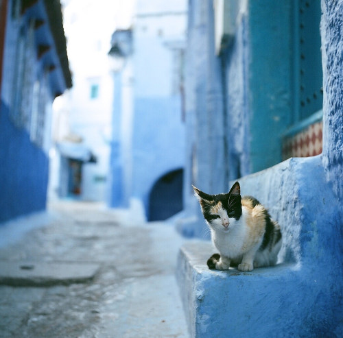 wanderthewood:Morocco by Saori_