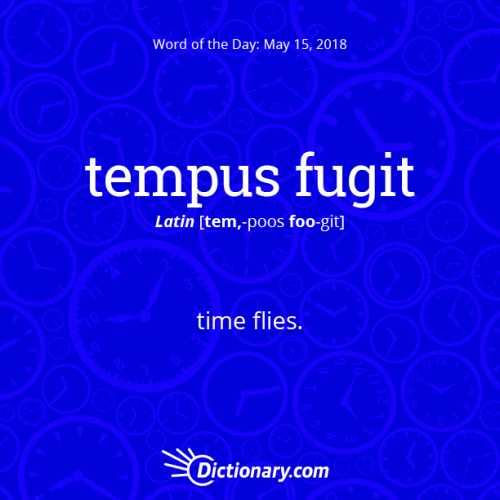Today&rsquo;s word of the day is tempus fugit. Click the image to read the full definition.