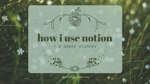 peachblossomstudy: how i use notion (+ a paper planner)  — [click for hq!] i’ve bee