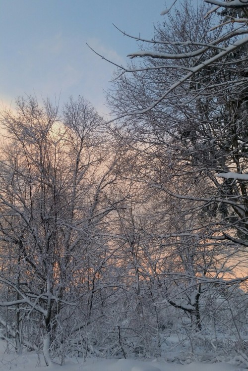 thexfiles:  i love the post-blizzard golden hour   💦