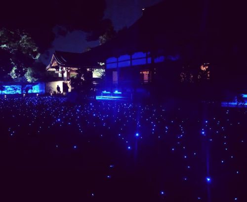 ⛳️1520. 青蓮院庭園（青蓮院門跡） Shorenin Temple Garden, Kyoto 引越しから一週間経ちました。今週は部屋の片付けで忙殺されて更新に手がつかず… 昨日、早速東京の頃の