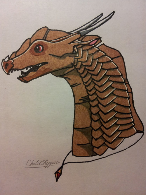 Gerudo, For A Person On Google+. I Like His Dark Patches, It Makes Him Very Unique.