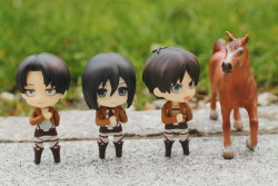 nendoroid-adventures:  Levi, Mikasa, Eren…